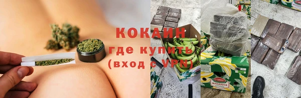 сатива Белокуриха