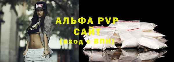 сатива Белокуриха