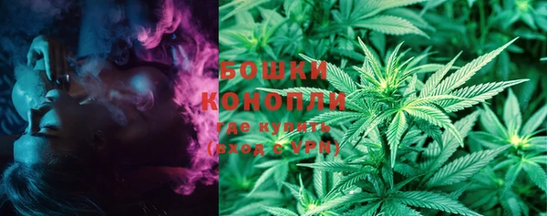 сатива Белокуриха