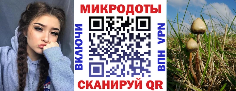 Псилоцибиновые грибы Psilocybe  kraken сайт  Красково 